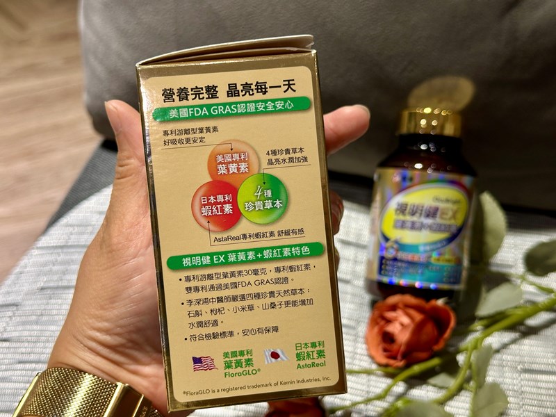 試用